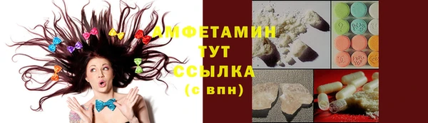 молекула духа Алексин