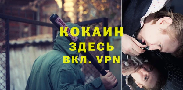 молекула духа Алексин