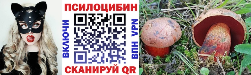 Галлюциногенные грибы Cubensis  mega зеркало  Приморск 