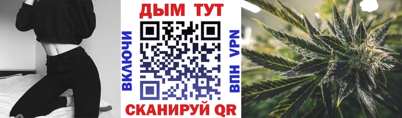 Бошки марихуана MAZAR  цены   мега как войти  Приморск 